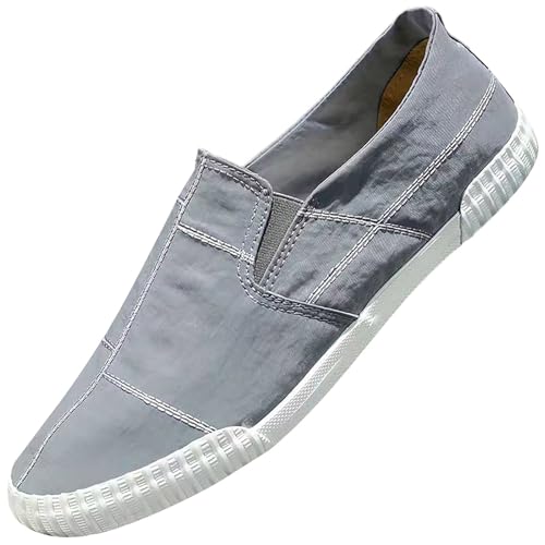 Generisch Zapatillas bajas de lona para hombre, zapatillas de lona bajas, zapatos informales, cómodos, ligeros, transpirables, para hombre, Gris G, 40 EU