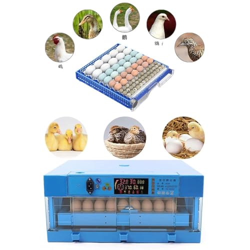 Huevos de gallina fértiles para incubar con volteador automático de huevos, control de temperatura, control de humedad y recarga automática de agua para pollos, patos y codornices