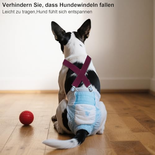 Qwrqwr Hundewindel Hosenträger mit Bauchbändern Verstellbare Länge Haustier Windeln Befestigungen Komfortables Windelgegurt verhindern, dass Windeln oder Unterwäsche nach unten rutschen