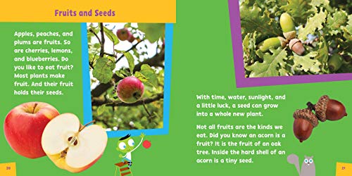 Look and Learn Nature Detective (9) (PBS Kids) - Image 4