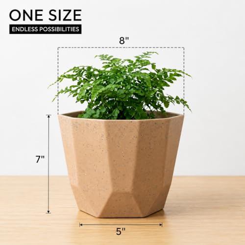 Image of YUCCABE ITALIA SHERA Hexa Round Plastic Flower Pot with Drainage Holes Planter Pot Suitable for Indoor Outdoor Kitchen Garden (Stone Beige, 8 Inch - 6 Pcs)