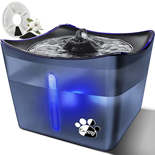 The Best Cat Water Fountains of 2022 Pet Life Today