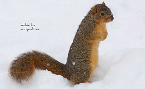 Best in Snow (Weather Walks) - Thumbnail 3