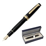 Sailor Professional Gear Gold Fountain