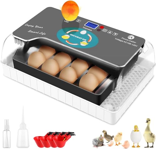 Egg Incubator 7 Eggs Digital Poultry Hatcher Machine Small Lab Incubators with Clear Lid and...