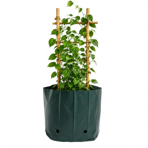 Image of Go Garden Grow Bags for Plants 15 x 16 Inch (Pack of 50) | UV Protected Plastic Nursery Grow Bags | Heavy Duty Black Poly Plant Bags