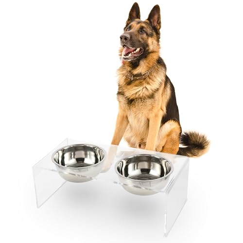 THE LICKER Store DBL2001A Keaton 7.5 Medium/Large Modern Lucite Rectangular Elevated Pet Feeder with 54oz 2-Stainless Steel Bowls Clear/Chrome