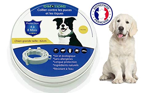 G-MOTIONS - Collier Naturel Antipuces Anti-Tiques - Chiens/Chats, Résistant à lu0092Eau, Ajustable et Naturel - Efficace Puces,Tiques. Jusqu'à 8 Mois de Protection - Antiparasitaire (L - Jusqu'à 62 CM)