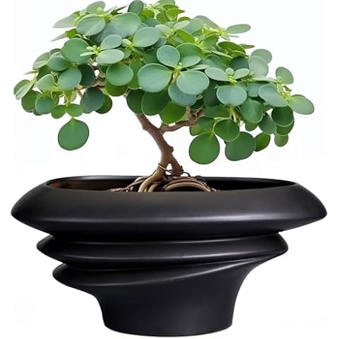 SQOWL 12 Inch Ceramic Bonsai Planter Pot Cover