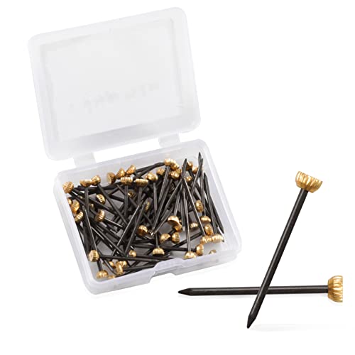 Image of SPEEDWOX 60 Pcs Picture Hangers Black Steel Nails and Brass Head Frame, Picture Hanging Nails for Hanging Picture Painting with Plastic Storage Box Holds Up to 5-30 lbs(Small)