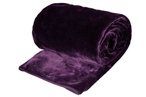 SOLARON Queen Size 78" x 94" Solid Korean Mink Blanket Purple