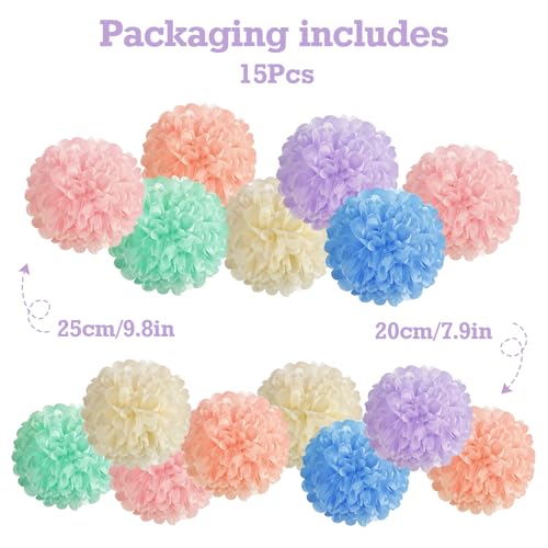 EASY JOY 15PCS Pastel Paper Tissue Pom Poms Decoration Macaron Rainbow Candy Ice Cream Easter Flowers Wall Hanging Decor for Birthday Wedding Baby Shower - Image 3
