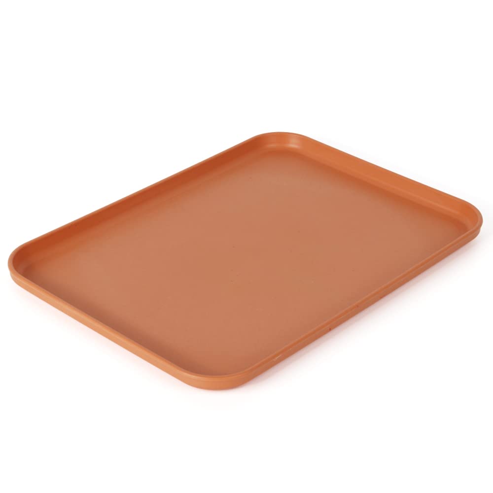 Reptile Large Water Dish