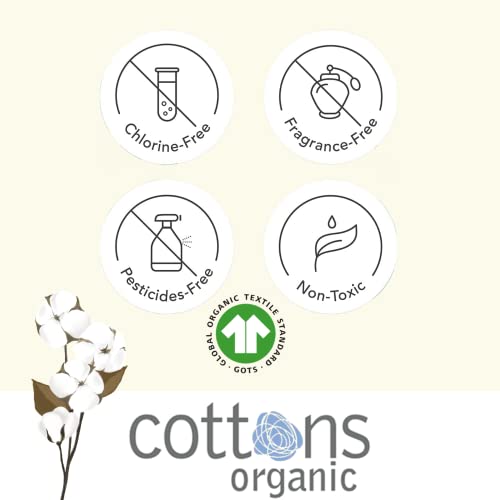 Cottons 100% Natural Pre-Menopause Pads With Wings, 8 Indivdually Wrapped #TOP5