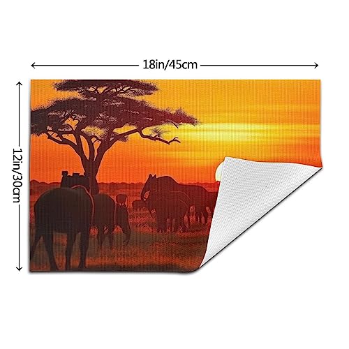 Sets de table en vinyle antidérapant résistant chaleur 30x45cm motif coucher de soleil