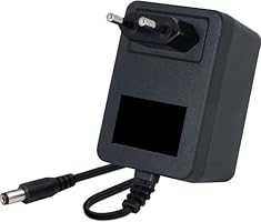 Netzteil 220 V - 24 V Wechselspannung, 1000 mA