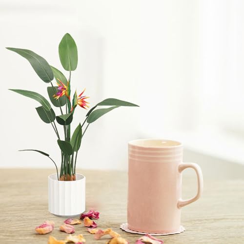 [LJKI] Ɋy Xg`A Ύ  tFCNA { lHA tFCNO[ ^ A lHϗtA lHϗt  160cm  K̖  rO ItBX  j  J^ sv ͂Ȃ Q