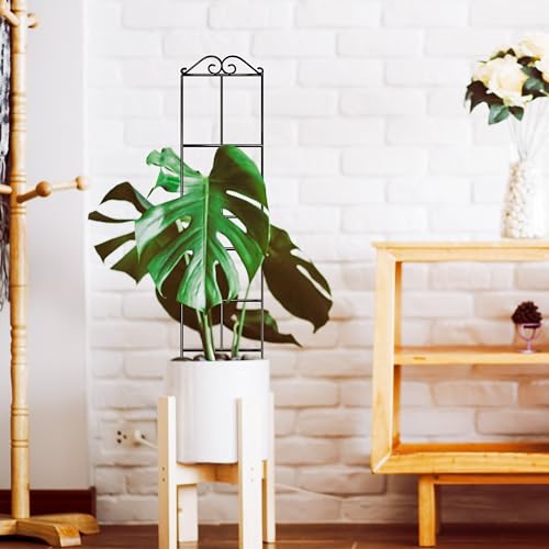 Image of 31.8'' Stackable Plant Trellis Indoor, Metal Trellis for Climbing Plants Indoor, House Plant Support with Soft Ties for Monstera Hoya Pothos, 4P