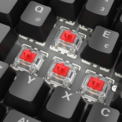 Teclado Gamer SGK50 S2 RGB USB-C Mecánico miniatura 3