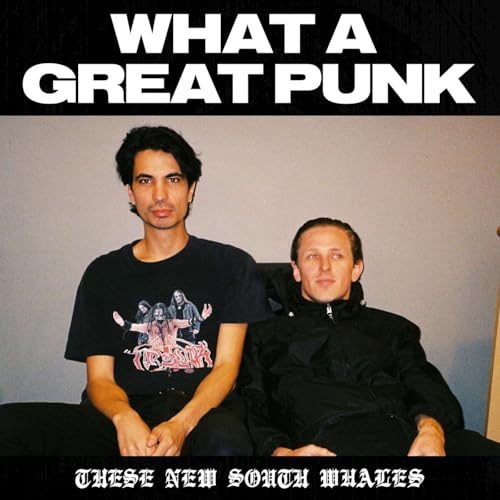 What a Great Punk cover art
