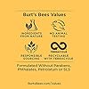 Burt's Bees Deep Cleansing Pore Scrub with Peach and Willow Bark, 4 Ounces, Pack of 3