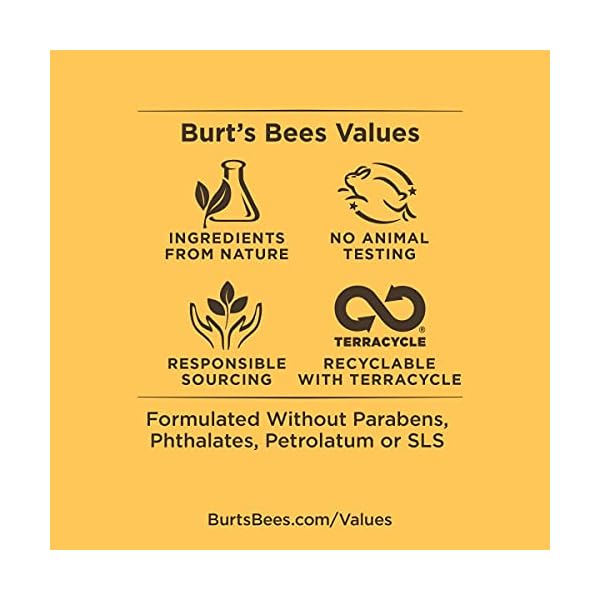 Burt's Bees Deep Cleansing Pore Scrub with Peach and Willow Bark, 4 Ounces, Pack of 3