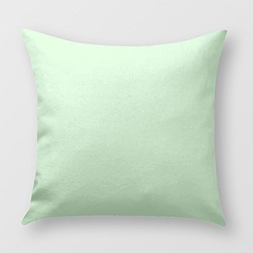 Solid Pastel Seafoam Green Blue Plain Pillow Cover for Sofa or Bedroom