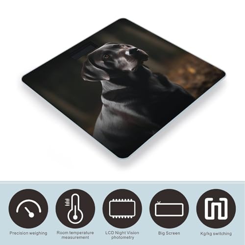 Báscula Digital de Baño Black Labrador en Vidrio Templado miniatura 3