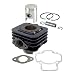 Produktbild 100080251 Baugruppe RMS 50 cc D.40 Vespa LX 50 2T SP.12 Gusseisen blau Line