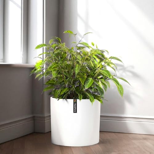 FoxyFern: Macetero  tamaño M Incluye Almacenamiento