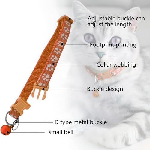 Hundehalsband und Leinen-Set, Welpenhalsband, Haustierleinen-Halsband, Halsband und Leine für Kleine und Mittelgroße Hunde, Haustierkatzenhalsband und Leine