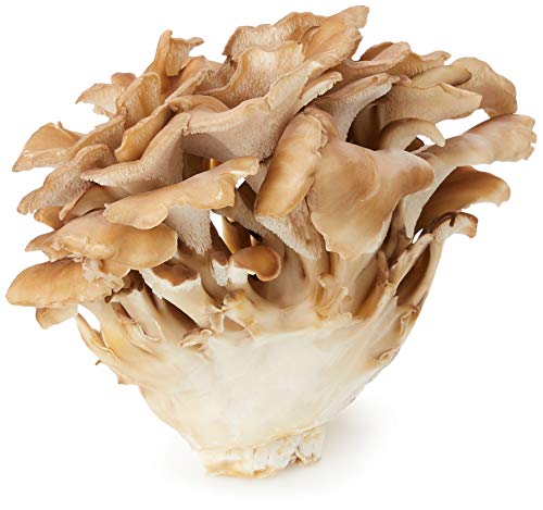 国内産 ホクト マイタケジャストパック 1パック 75gのサムネイル