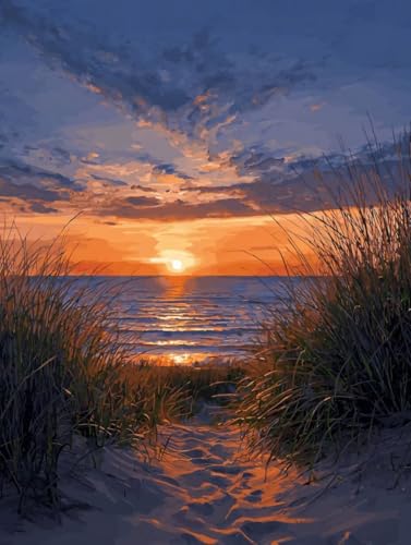 DIY  Lbg l q SҌ G ̊C ANG̋Zbgt 50x60cm hG XgX  v[g Mtg - |pIȑ̌ŊyށAiȃLoXƑN₩ȐFʁAW̓AbvAbNXʁACe