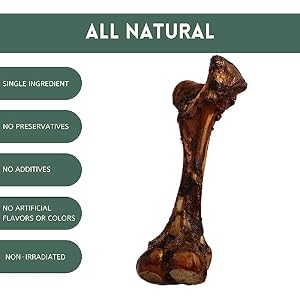 K9 Connoisseur Single Ingredient Dog Bones Made In USA For Large Breed Aggressive Chewers All Natural Long Lasting Meaty Mammoth Marrow Filled Bone Chew Treat Best For Dogs Over 50 LBS -Goliath 1 Pack K9 Connoisseur Single Ingredient Dog Bones Made In USA For Large Breed Aggressive Chewers All Natural Long Lasting Meaty Mammoth Marrow Filled Bone Chew Treat Best For Dogs Over 50 LBS -Goliath 1 Pack
