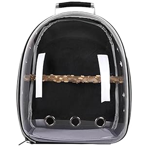 Pet Parrot Carrier Bird Travel Backpack, Space Capsule Transparente Tasche Atmungsaktive Parro Tragbare Atmungsaktive Tasche Pet Bird Leichter Reisekäfig mit Stehstange (Schwarz)