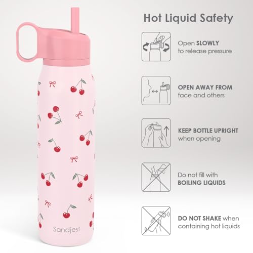 Image of Cherry Water Bottle with Twist Lid Insulated Stainless Steel 20oz, Travel Water Bottles for Sports & Gym, Gift for Women Girfriend Birthday Christmas