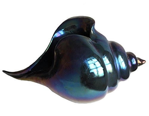 Abate Zanetti AR-101-003 Conchiglia di Murano, Vetro, Blu, 30x13.5x18 cm
