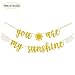 You Are My Sunshine Gold Glitter Banner with Sun and Clouds for Baby Shower Kid’s Birthday Party Decorations