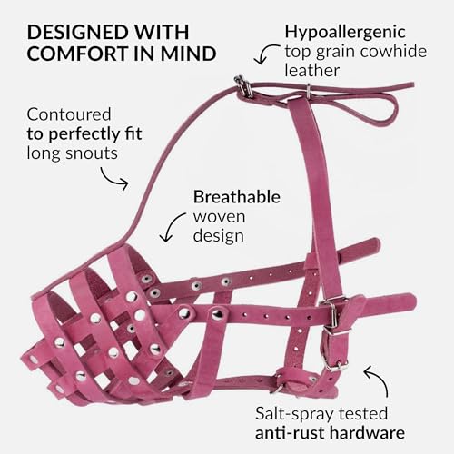 CollarDirect Maulkorb für Hunde, Deutscher Schäferhund, Dalmatiner, Dobermann, Setter, Lederkorb, mittelgroß, große Rassen, schwarz, braun (L, Pink)