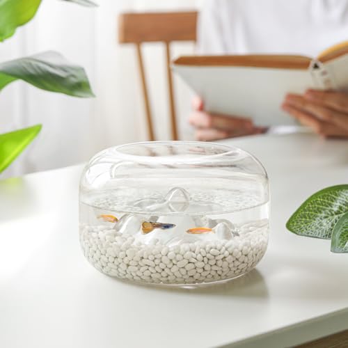 Image of T4U Tumbled Chips Stones Crushed White Gravels 1 LB, Irregular Shaped Natural Rock Pebbles, DIY Polished Rocks for Potted Plant,Bonsai,Vase Fillers Aquarium Decoration, Aquarium Gravel Rocks