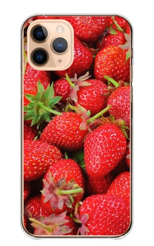 Google Pixel 10/10Pro �p �P�[�X �O�[�O���s�N�Z�� 10�v�� �X�}�z�P�[�X �n�[�h�P�[�X �n�[�h �t���[�c �ʕ� �ʐ^ �C�`�S � �J���[01