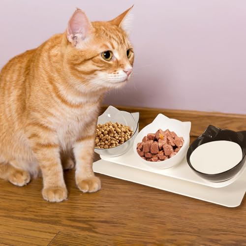Cuenco para comida de gato antiderrame para solucionar manchas en suelo 4