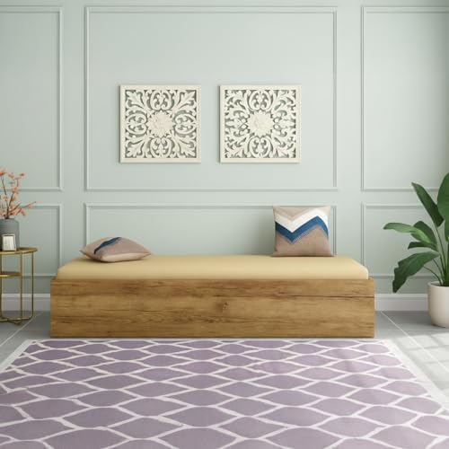 Image of Amazon Brand - Solimo Zarrah Diwan Single Bed with Storage - Without Mattress | Multipurpose Wooden Box Bed | 188L x 76W x 38H CM | Rustic Brown Finish | DIY