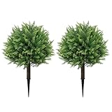 Best Time to Plant Shrubs in Texas: Ultimate Fall Planting Guide 5 416RI7lD2nL. SL160