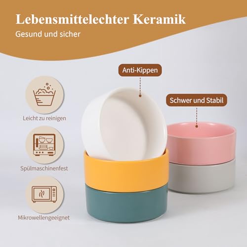 Erhöhter Futternapf aus Keramik für Katzen - Katzennapf mit Napfständer aus Holz und rutschfesten Füßen - Fressnapf aus Keramik für Katzen und Welpen - Für Futter und Wasser - 400 ml - Weiß