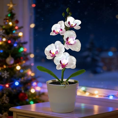 Image of Artificial White Phalaenopsis Orchid Flower Lamp, Flower Night Light for Bedroom Wedding Bar Coffee Shop Decor, Gifts for Women Mom Grandma Friend Birthday Christmas Valentines Mothers Day