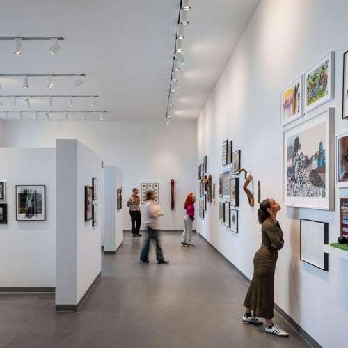 The Artist's Overview