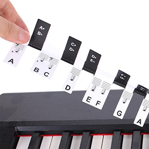 LYNSAY Décorations de notes de clavier de piano réutilisables, étiquettes d’apprentissage de piano à 88 touches, étiquettes amovibles pour garçons et filles - Les Beatles, Paul McCartney, John Lennon, RIngo Starr, George Harrison LYNSAY Décorations de notes de clavier de piano réutilisables, étiquettes d'apprentissage de piano à 88 touches, étiquettes amovibles pour garçons et filles – Image 7