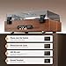 1 by ONE Vinyl Record Player with Bluetooth Input, All-in-One Turntable with Built-in Speakers, Phono Preamp, AT-3600L Cartridge, Belt Drive 33/45 RPM