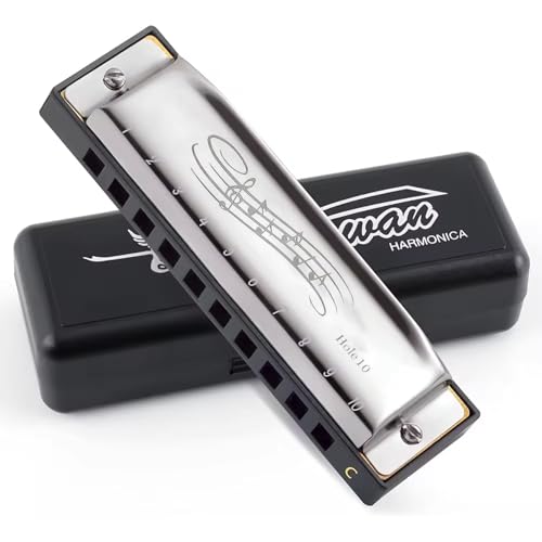 10 Hole C Key Harmonica with Case Mini Blues Mouth Organ for Beginners